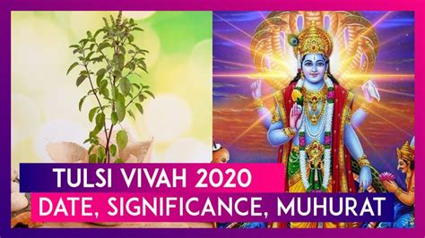 Tulsi Vivah 2020 Date Significance Shubh Muhurat Of The Ceremonial