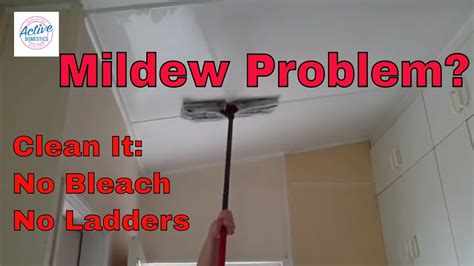 Mold Mildew On Shower Ceiling Shelly Lighting