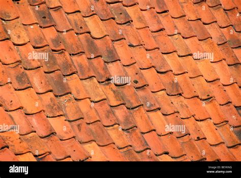 Red Clay Roof Tiles Bruges Brugge Belgium Stock Photo Alamy
