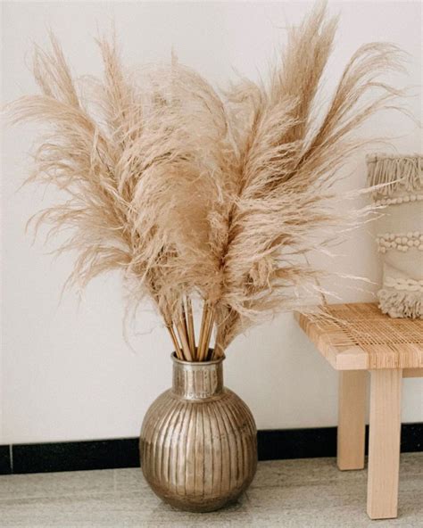 Pampas Grass For Your Home Or Wedding Check Out The Number One Pampas