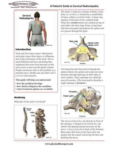 Pdf A Patient S Guide To Cervical Radiculopathya Patient S Guide To