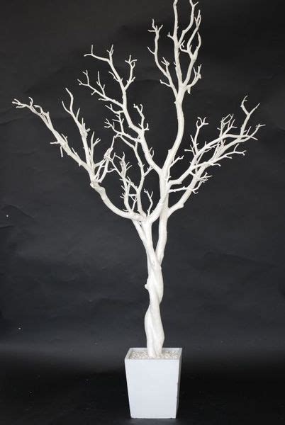 Tree Of Unforbidden Fruit White Tree Branch Centerpieces White