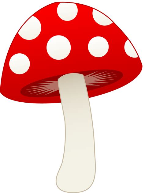 Mushroom Clip Art Png