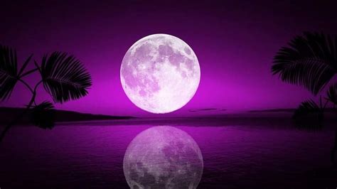 Lavender Moon Purple Sky Beautiful Moon Moon Images