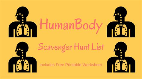 Human Body Scavenger Hunt — Scavenger Hunt