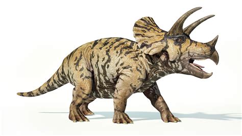 Triceratops History And Some Interesting Facts