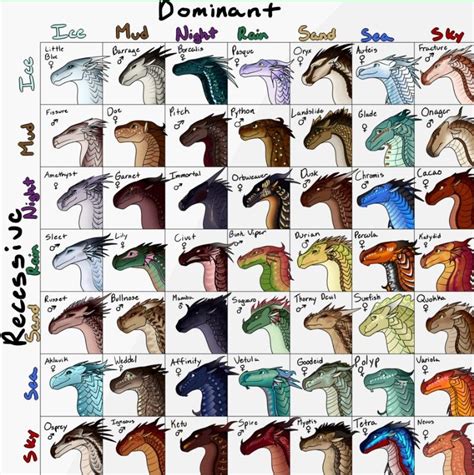 Wings Of Fire Hybrid Dragons Wings Of Fire Dragons Wings Of Fire Types Of Dragons