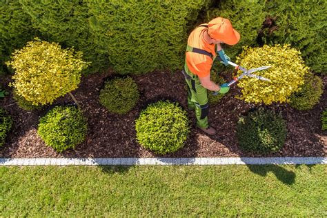 Finding A Professional Lawn Care Service Surf N Turf Mowing