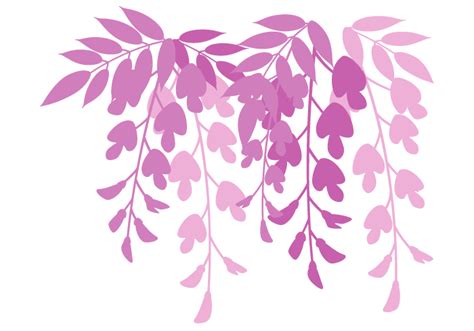フジ（藤）の花～無料のフリーイラスト素材集
