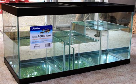 Sump Design Aquarium Aquarium Fish Tank Saltwater Aquarium