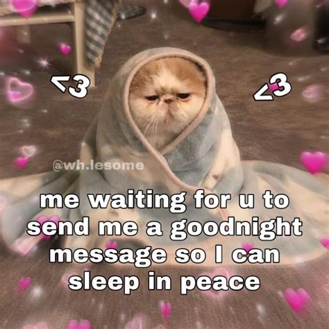 A Cat In A Robe With Hearts Around It And The Caption Reads Me Waiting