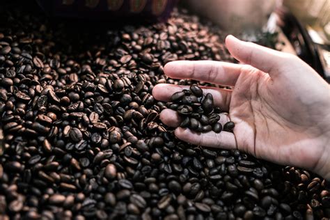 Fresh Roasted Coffee Beans Make A Difference Deans Beans