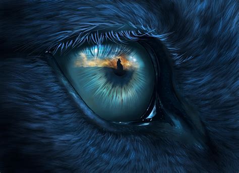 Wolf Eye Digital Art By Bernadett Kovacs Pixels