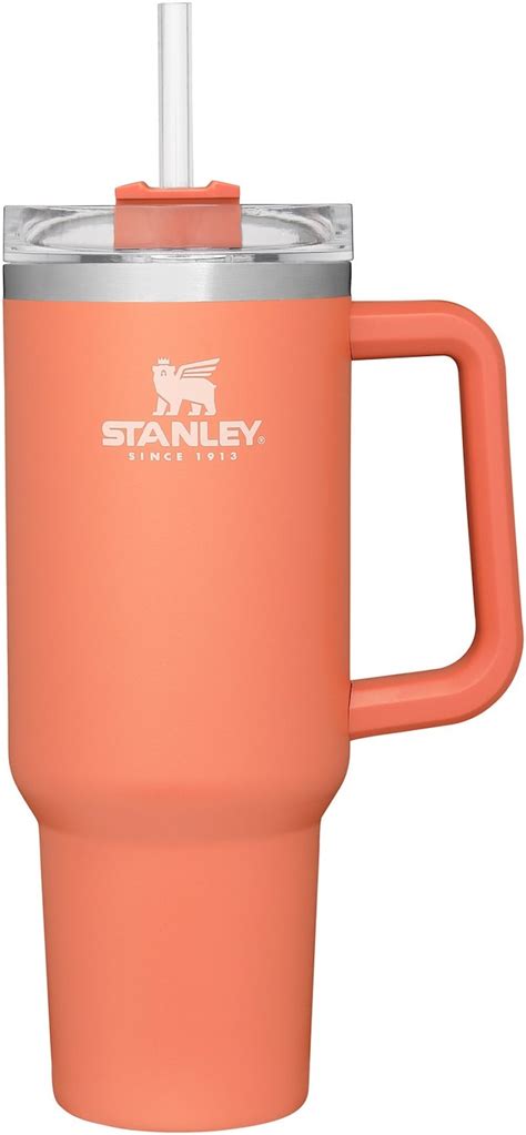 Is The Stanley Quencher Cup Worth It Price Review And More