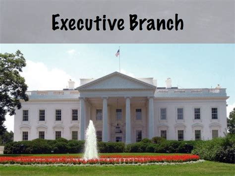 A&f oversees the financial and administrative aspects of state government. U.S. Executive Branch | Curious.com