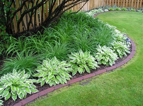 Daylilies And Hostas Backyard Garden Shade Garden Garden Inspiration