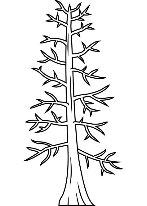 Bare Tree Coloring Page Colouringpages