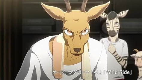 Beastars Tv Series 2019 Imdb