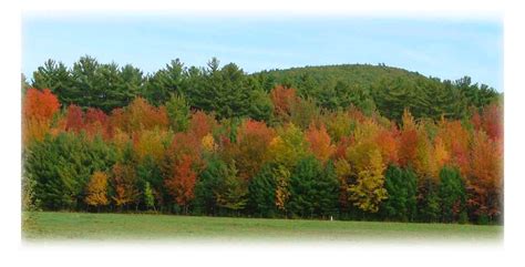 Fall Foliage And Leaf Peeping Around Lake Winnipesaukee In New Hampshire