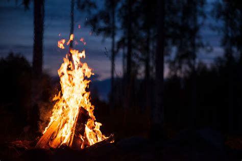 302854 Best Campfire Images Stock Photos And Vectors Adobe Stock