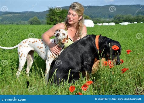 Den Unga Kvinnan Poserar Med Hennes Stora Hundkapplöpning På Grön äng