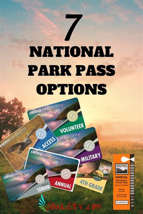 Sowle Rv National Park Pass Options America The Beautiful In 2020