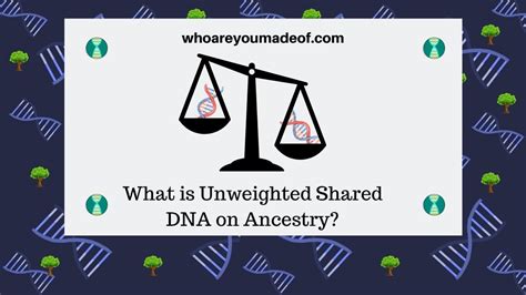 What is Unweighted Shared DNA on Ancestry? - Who are You Made Of?