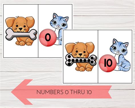 Dog And Cat Preschool Number Match Printable Math Counting Etsy