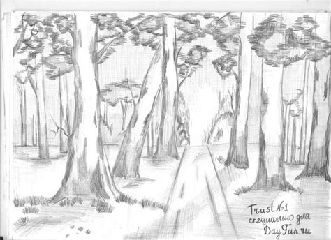 How To Draw Forest Step By Step Realistic Drawings Forest Sketch