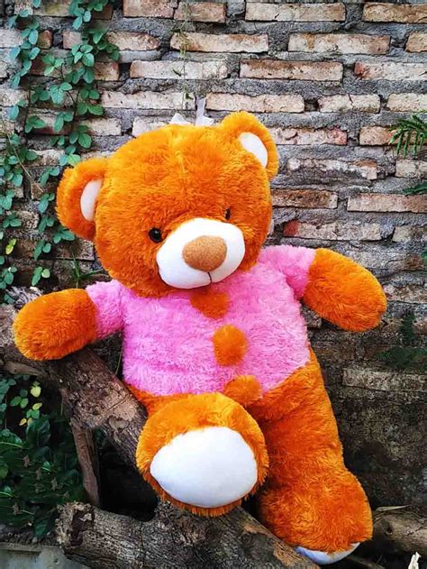 Sabuk juara & boneka monyet. Jual Boneka Beruang Salsa Jumbo Warna Pink dan Coklat