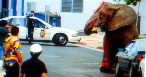 The Tragic Story Of Tyke The Elephant And Her Brutal Death