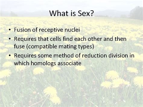 Why Sex What Is Sex Fusion Of Receptive