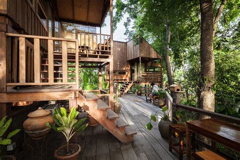 Backyard Jungle Stunning Eco Friendly Homes Engulfed In Forest Canopy
