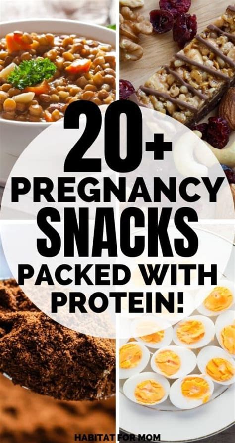 Ultimate List Of 20 Pregnancy Snacks Packed With Protein Habitat For Mom