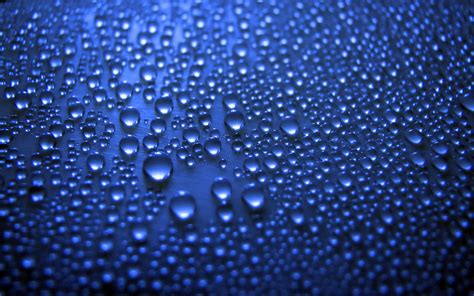 Raindrops Full Hd Wallpaper And Background Image 1920x1200 Id447309