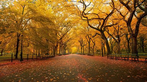 Autumn In The Park Wallpapers Wallpaper Cave
