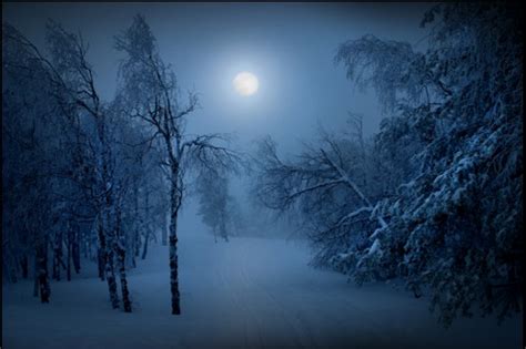 Full Moon Magic In The Snowy Woods Snowy Woods Night Art Night
