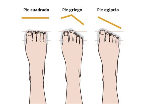 Tipos De Pies ¿cuáles Son Los Tuyos Y Cómo Influyen En Tu Pisada