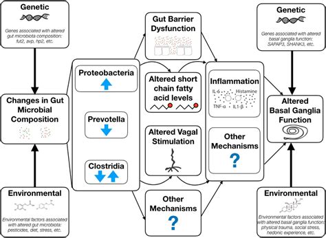 Defining Dysbiosis In Disorders Of Movement And Motivation Journal Of