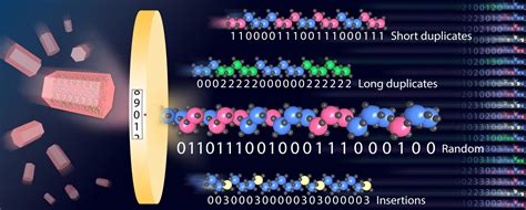 Advance In Programmable Synthetic Materials Artificial Molecules Could