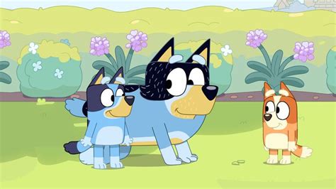 the bluey phenomenon bandit heeler voice actor reveals all about playing arguably the world s