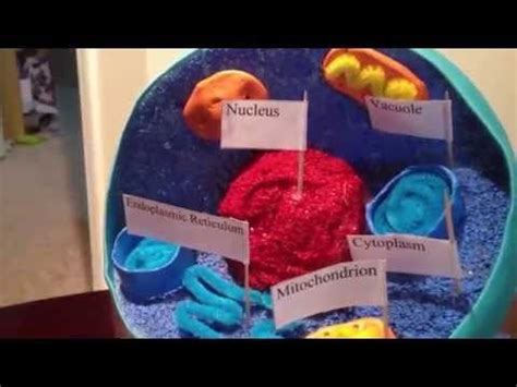 After the cells of interest have been isolated from living tissue, they can subsequently be maintained under carefully controlled conditions. 3D Model of Animal Cell | Animal cell, Animal cells model ...