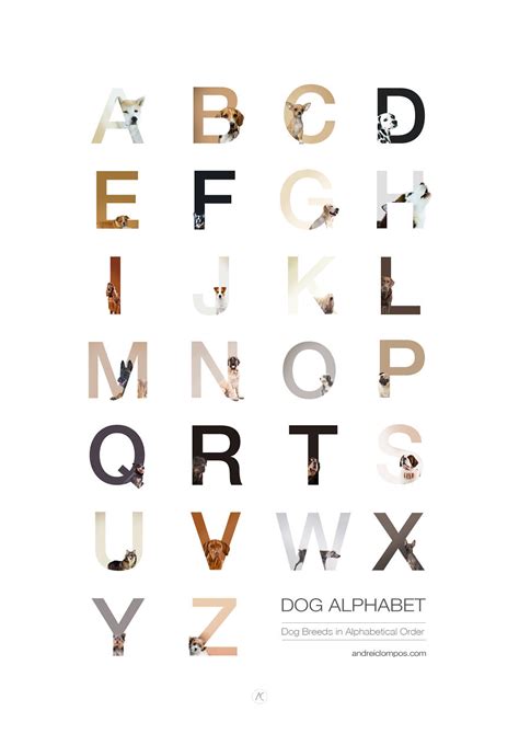 Disregard all the letters before j and after p. I Made This Dog Alphabet - Dog Breeds In Alphabetical ...