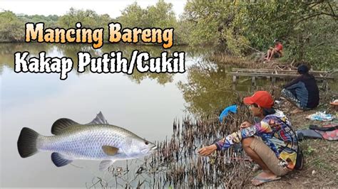 Mancing Bolangan Kakap Putih Mancing Bareng Di Spot Bolang Harian