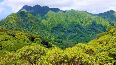 Lush Tropical Jungle And Mountain Range In Honolulu Hawaii Stock Photo