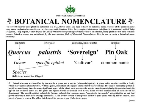 Botany Nomenclature Cards Printable Montessoriseries