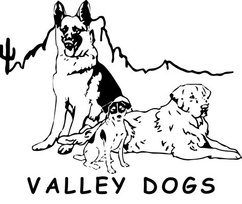 Valley Dogs RescuePet Shelter in Gilbert AZ