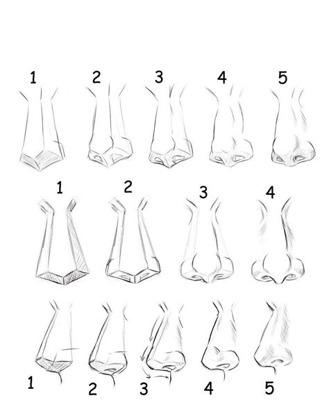 Nose Drawing Reference And Sketches For Artists