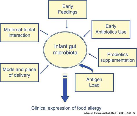 Modulation Of Gut Microbiota Downregulates The Development Of Food