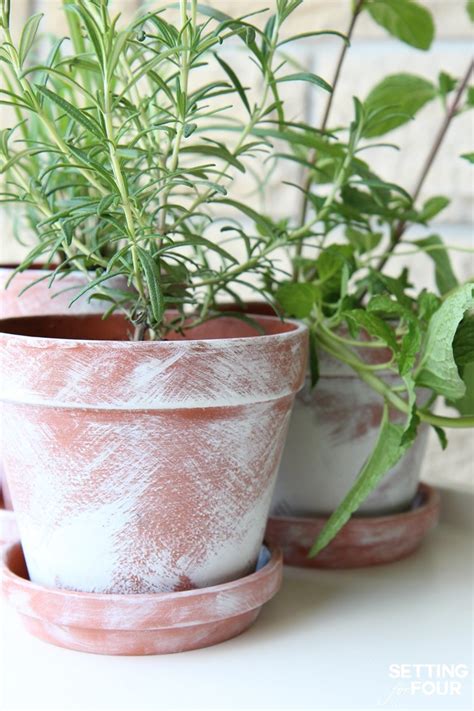 Diy White Washed Terra Cotta Pots Setting For Four